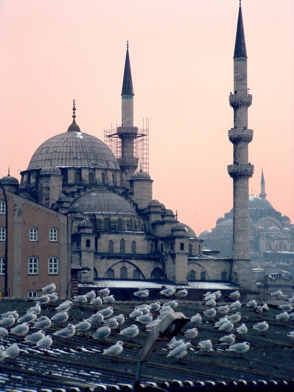 Mosques_in_Istanbul_at_dusk