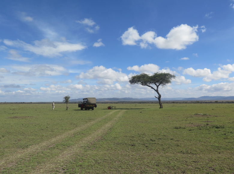 Breakfast stop while out on a game drive.