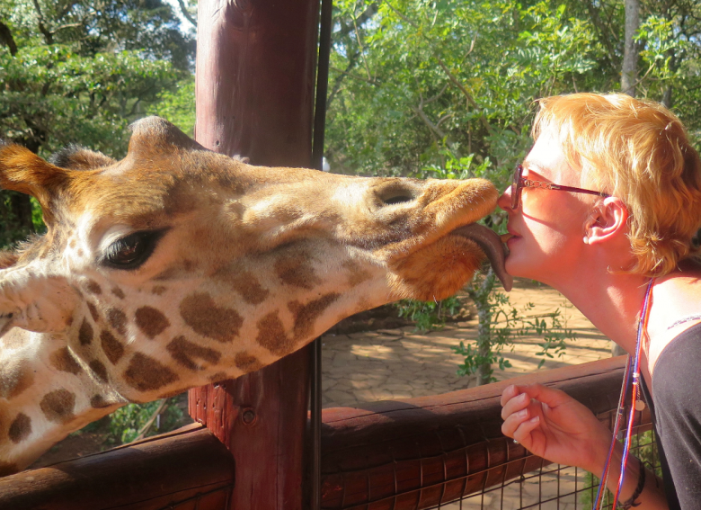 Feeding a giraffe at the Giraffe Centre. Local style.
