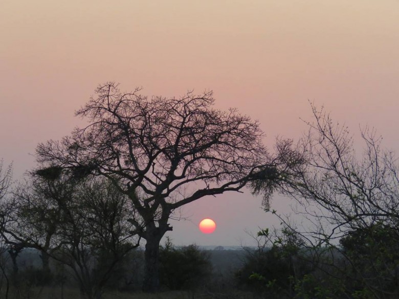 chalmers reid kruger park