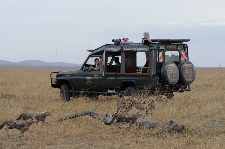 On photographic safari, Ruth