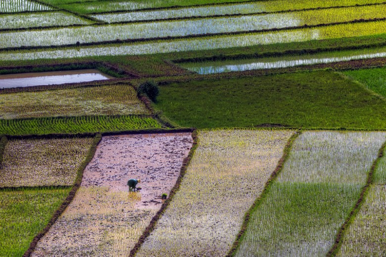 lone worker