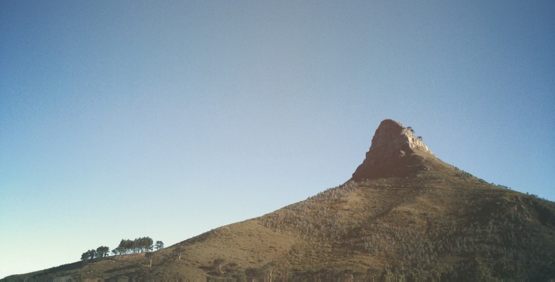 lions head scott webb