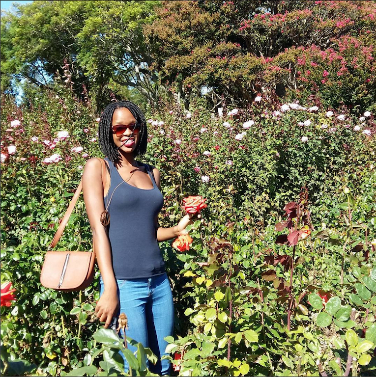 chart farm rose picking