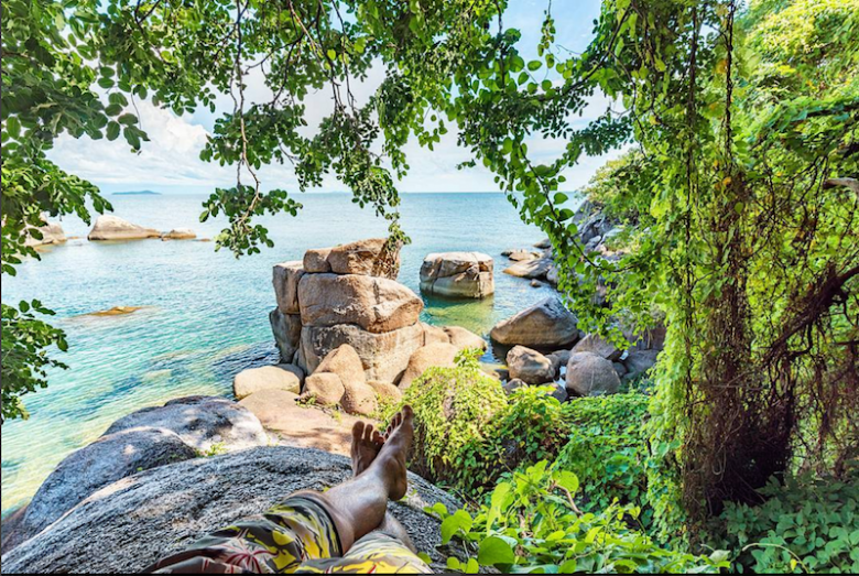 lake malawi