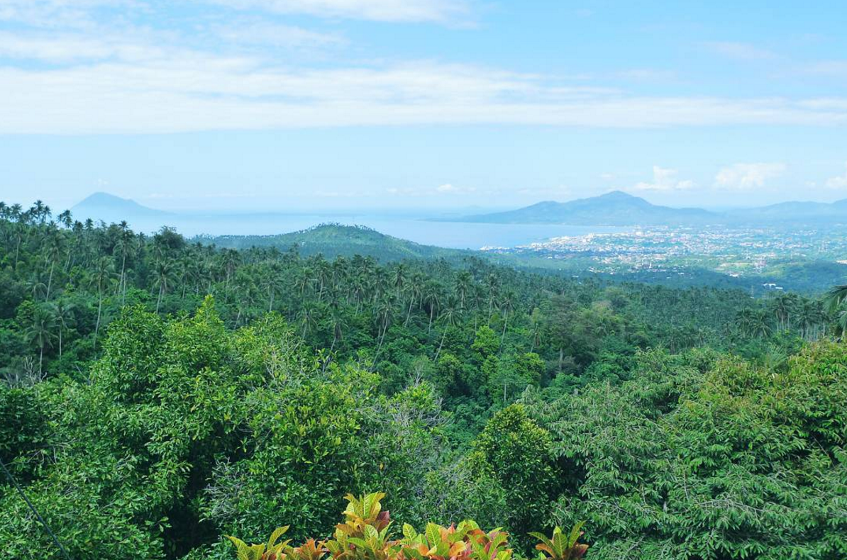 manado bay