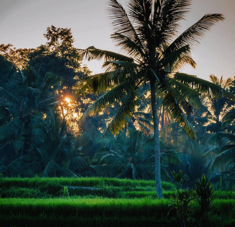 ubud