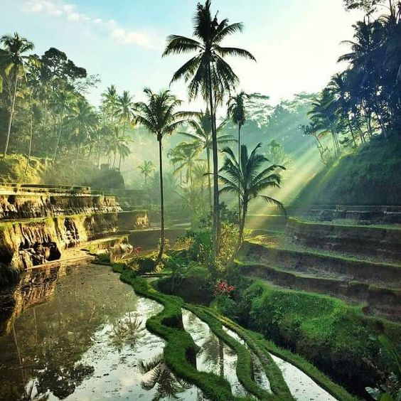 The romantic destination of Bali