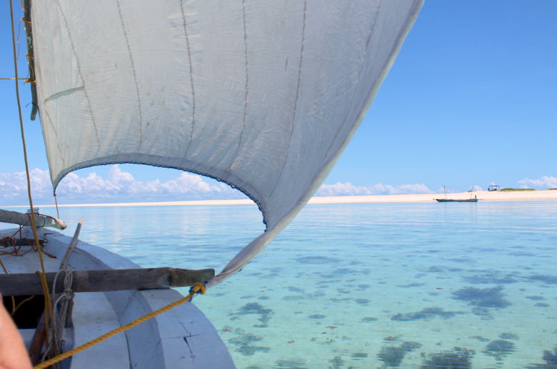 Dhow Sailing