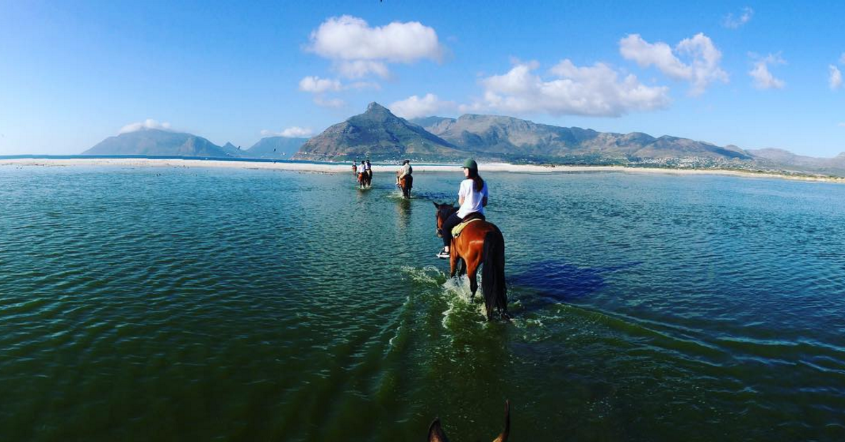 imhoff farm horseriding cape peninsula tour