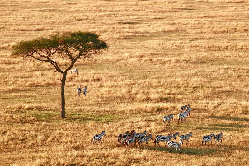 Serengeti National Park visa-free destinations