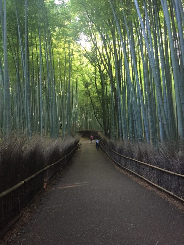 Arashiyama Bamboo Grove (3)