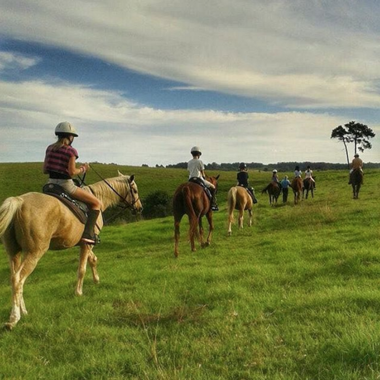 hog hollow horse trails garden route