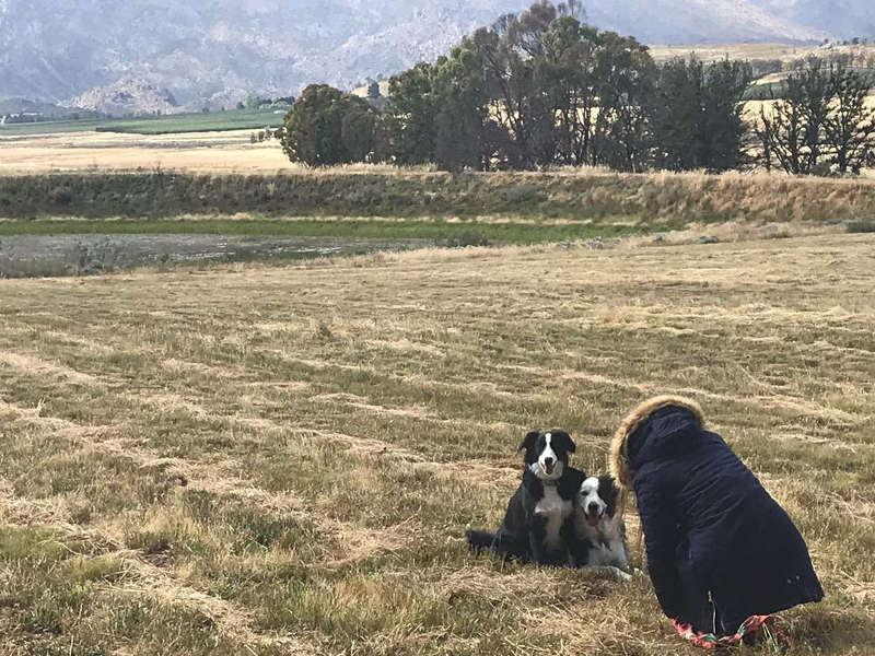 Pet-Friendly Camping
