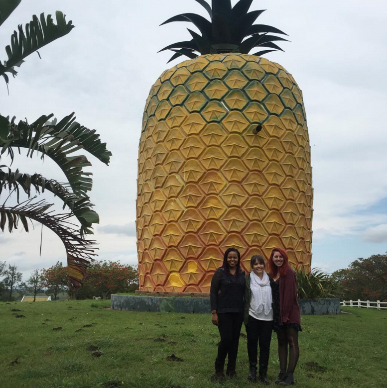 giant pineapple bathurst offbeat attractions south africa
