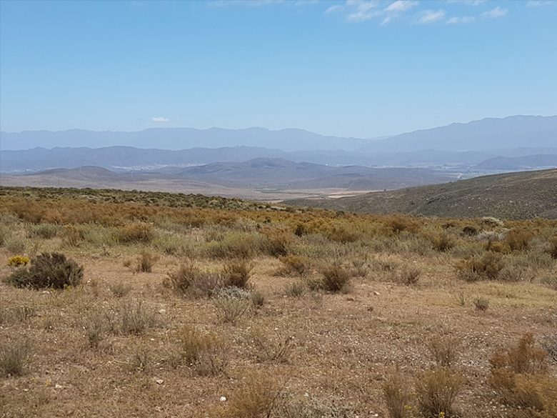 langeberg-mountains_edit