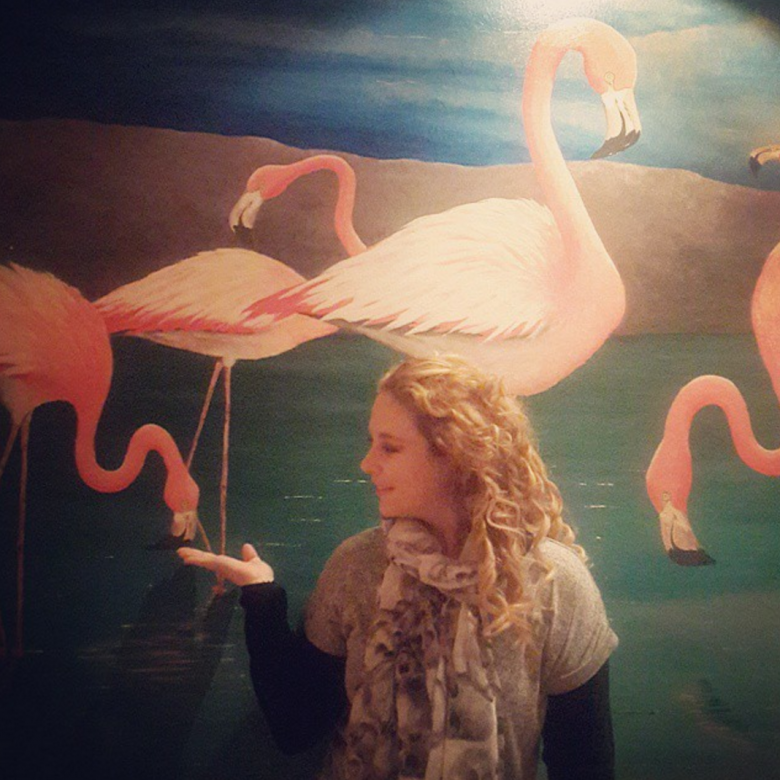 flamingoals at the troyeville hotel joburg