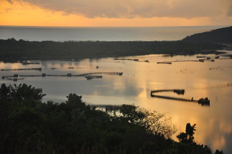 Kosi Bay Iga Motylska