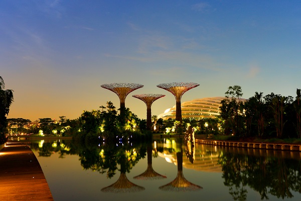 Gardens by the Bay - Evening 600x400