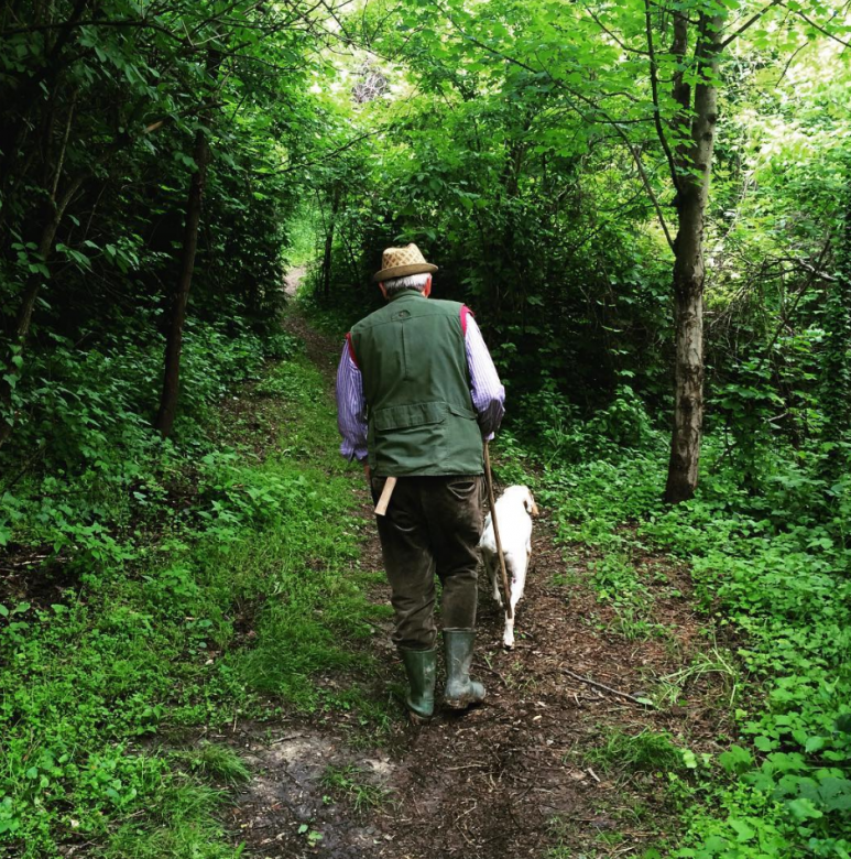 truffle hunting authentic experiences