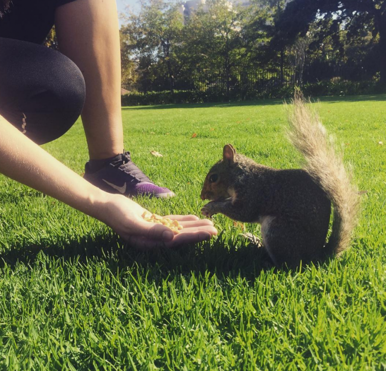 feeding squirrels authentic cape town