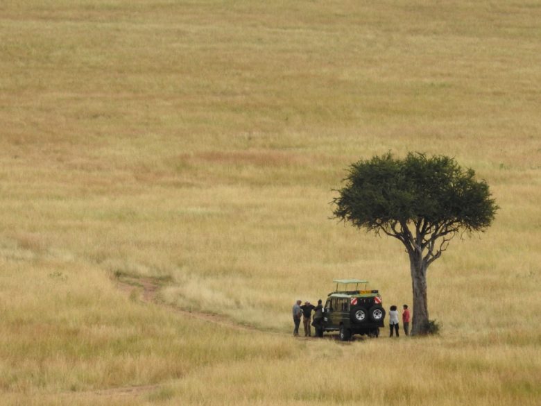 Kenya Maasai Mara grasslands