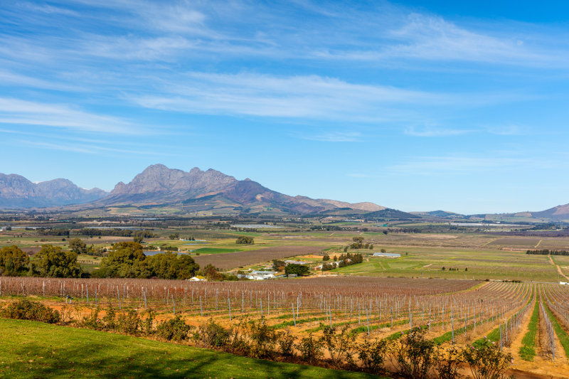 6 Undiscovered Wine Farms in Cape Town and Beyond