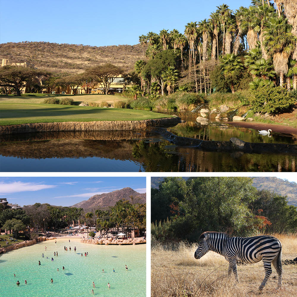 sun city west trips and tours