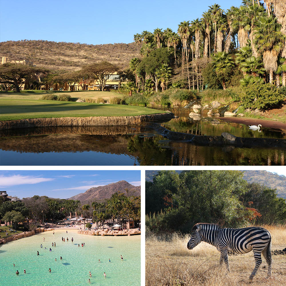Insider Guide to Sun City. Your Ticket To A Fun-Filled Getaway 