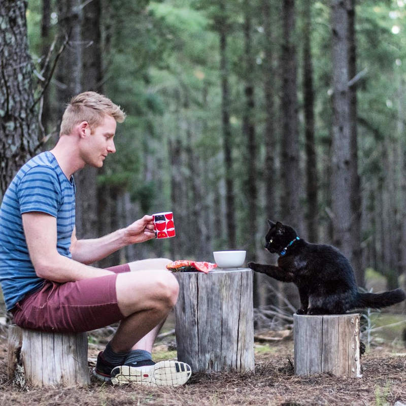 camping with cats