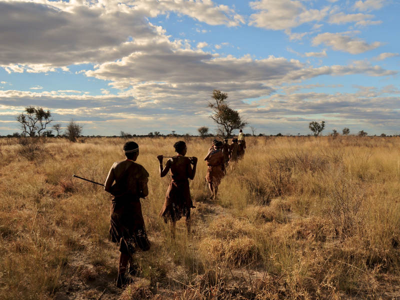 bushmen southern africa