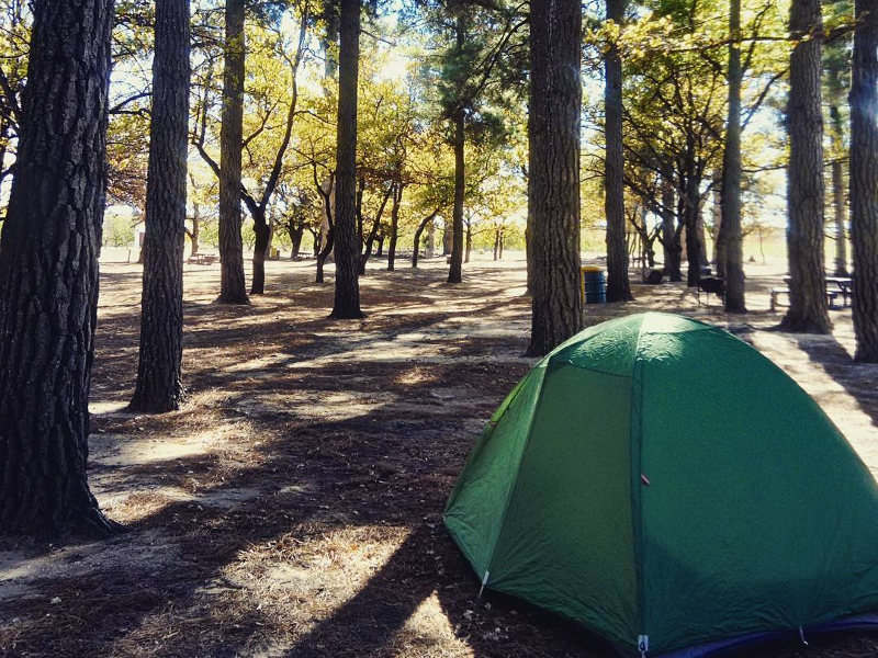 forest-camping-bushveld