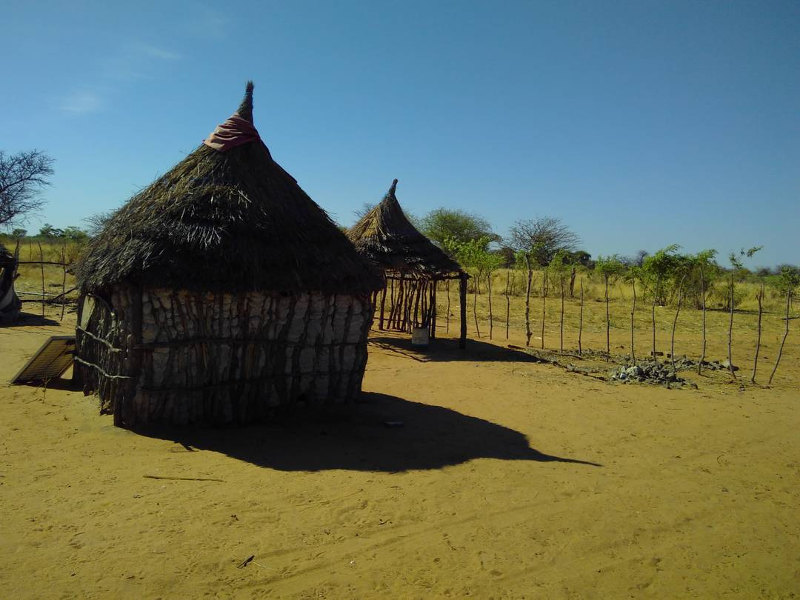 bushmen huts