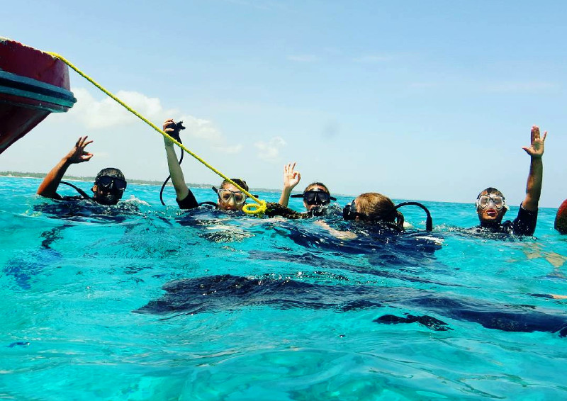 divers in water