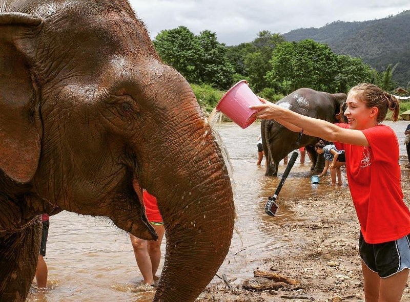 teenagers and elephants