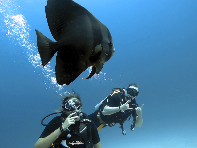 best-time-to-visit-phuket-diving