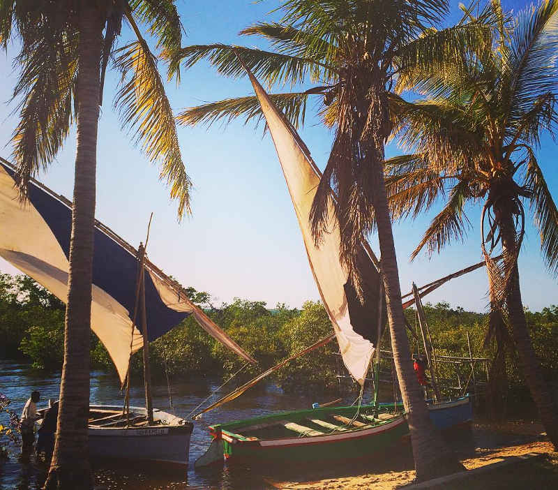 dhows on mozambican beach