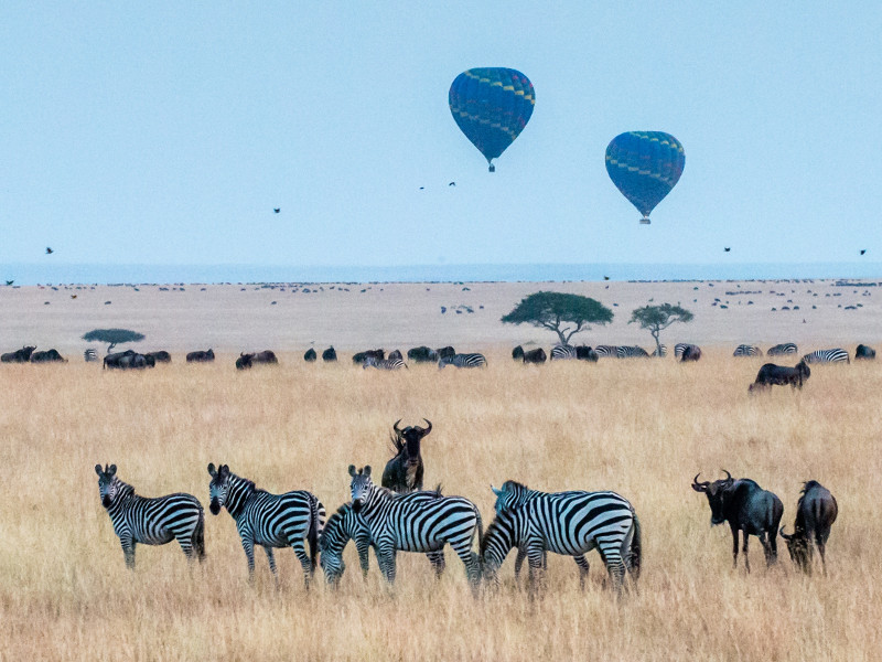 tanzania