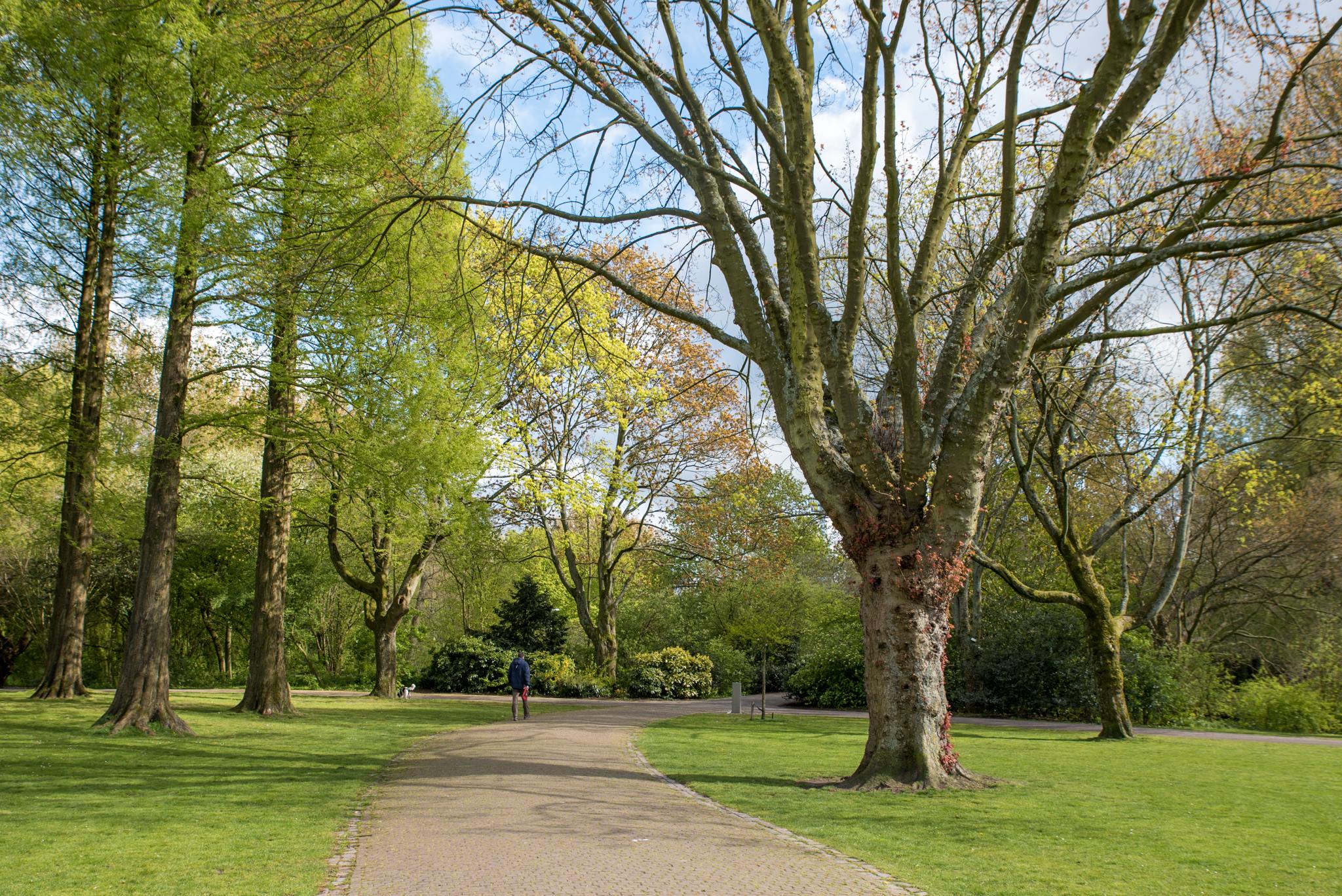 Amsterdam, Park