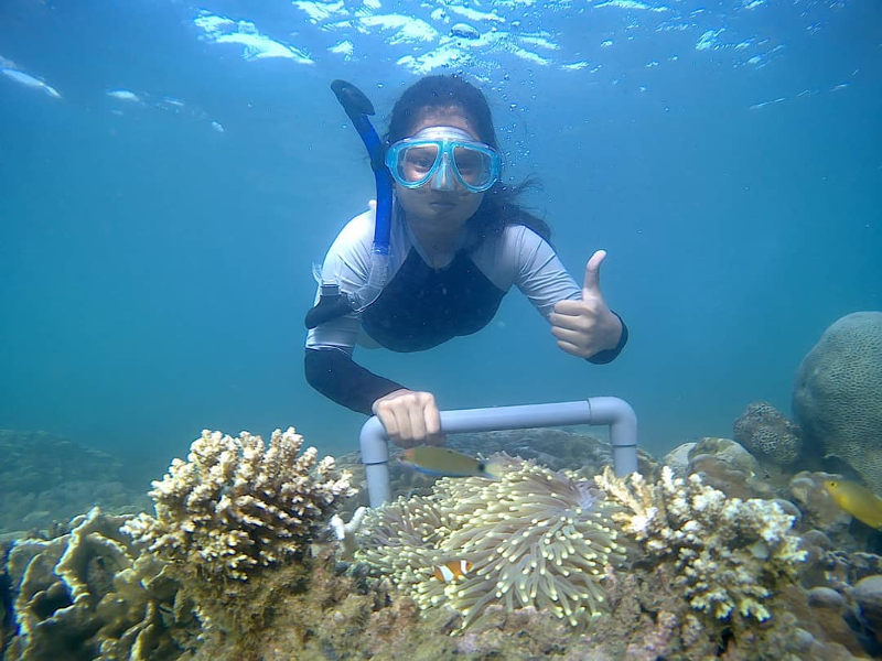 Zanzibar Snorkelling