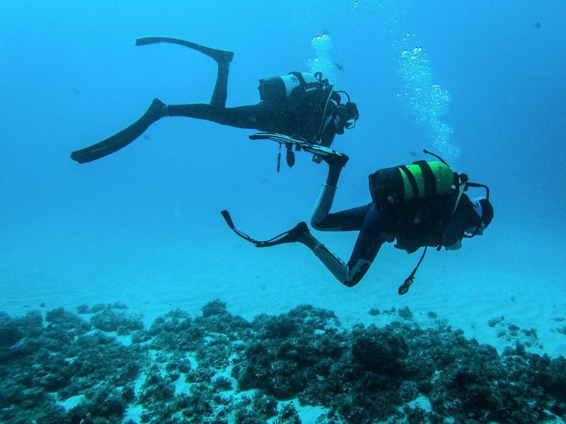 best diving in mauritius