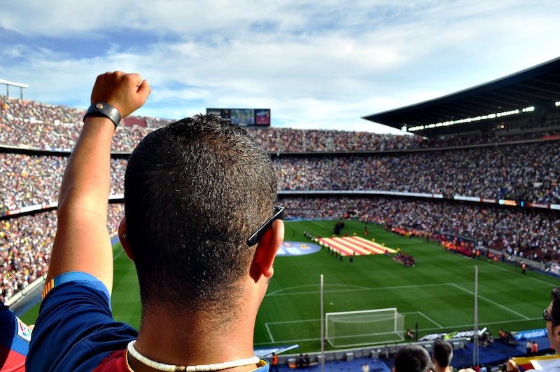 Soccer World Cup fans