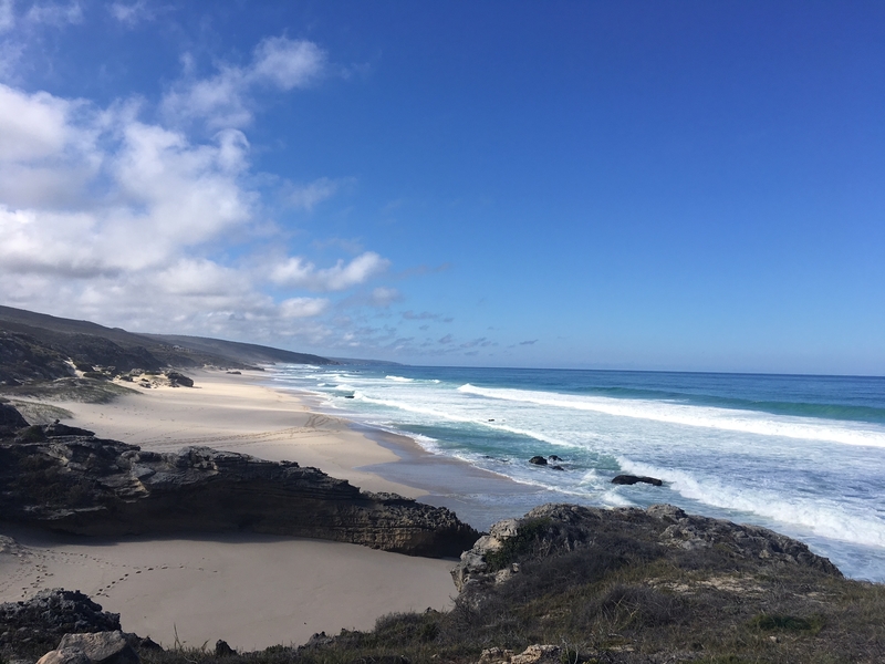 Hiking along the coast