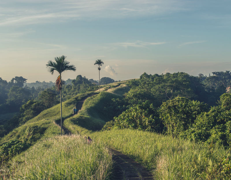 Campuhan Ridge Walk