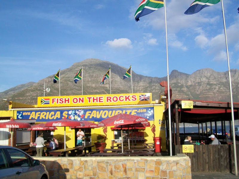 Fish-on-the-Rocks-experience-cape-town