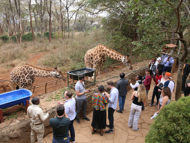 Kate Els Travelling to Nairobi