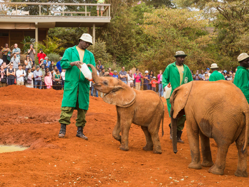 Kate Els Travelling to Nairobi