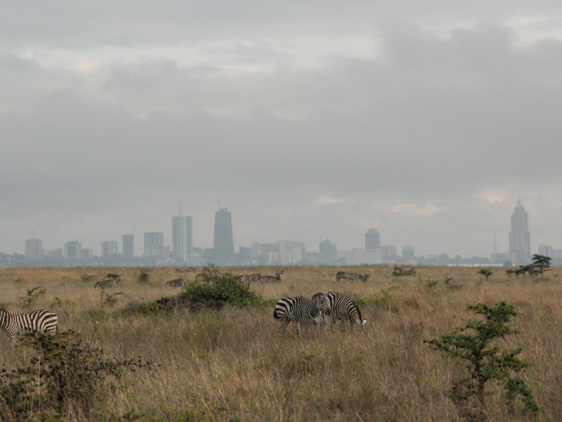 Kate Els Travelling to Nairobi