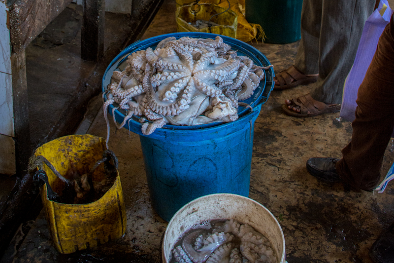 Stone Town Fish Market