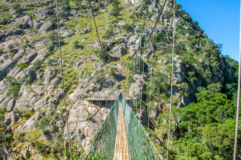 Malolotja Canopy Tour